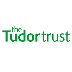9. Tudor trust